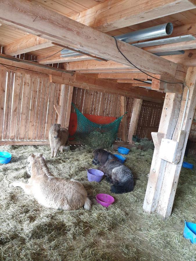 Ferienwohnung Weissbacher Sankt Martin bei Lofer Zewnętrze zdjęcie